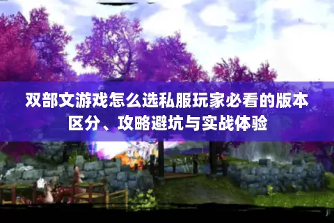 双部文游戏怎么选私服玩家必看的版本区分、攻略避坑与实战体验