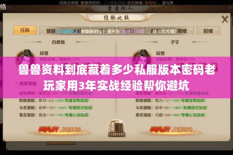 兽兽资料到底藏着多少私服版本密码老玩家用3年实战经验帮你避坑 兽兽资料到底藏着多少私服版本密码老玩家用3年实战经验帮你避坑