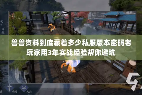 兽兽资料到底藏着多少私服版本密码老玩家用3年实战经验帮你避坑 兽兽资料到底藏着多少私服版本密码老玩家用3年实战经验帮你避坑