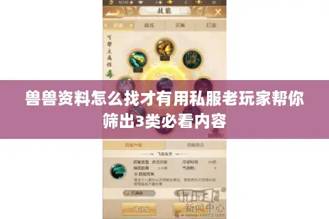 兽兽资料怎么找才有用私服老玩家帮你筛出3类必看内容