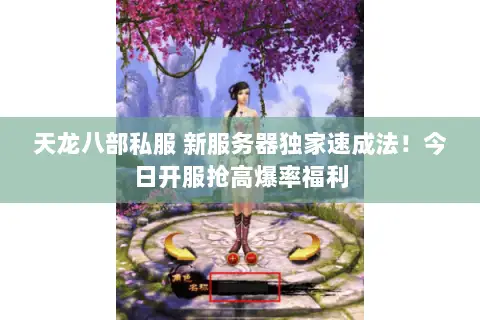 天龙八部私服 新服务器独家速成法!今日开服抢高爆率福利 天龙八部私服 新服务器独家速成法!今日开服抢高爆率福利