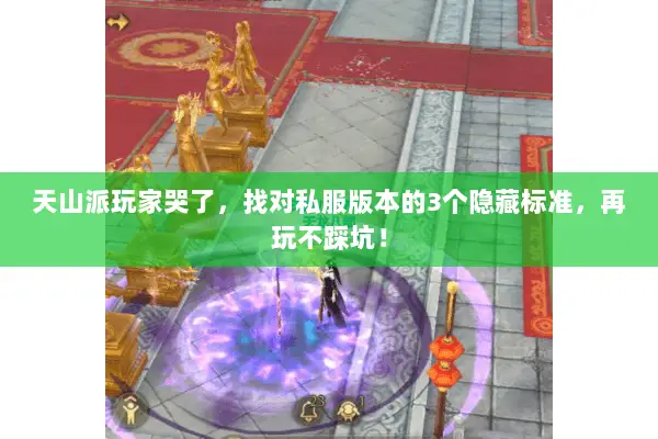 天山派玩家哭了，找对私服版本的3个隐藏标准，再玩不踩坑！