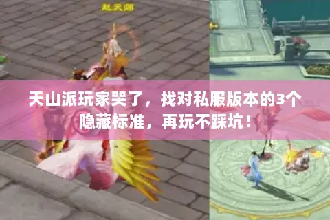 天山派玩家哭了，找对私服版本的3个隐藏标准，再玩不踩坑！