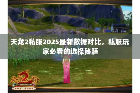 天龙2私服2025最新数据对比，私服玩家必看的选择秘籍