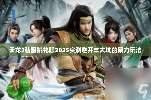 天龙3私服挑花眼2025实测避开三大坑的暴力玩法 天龙3私服挑花眼2025实测避开三大坑的暴力玩法