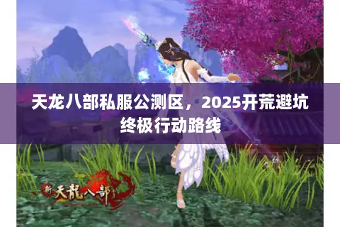 天龙八部私服公测区,2025开荒避坑终极行动路线 天龙八部私服公测区,2025开荒避坑终极行动路线