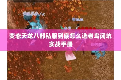 变态天龙八部私服到底怎么选老鸟闭坑实战手册 变态天龙八部私服到底怎么选老鸟闭坑实战手册