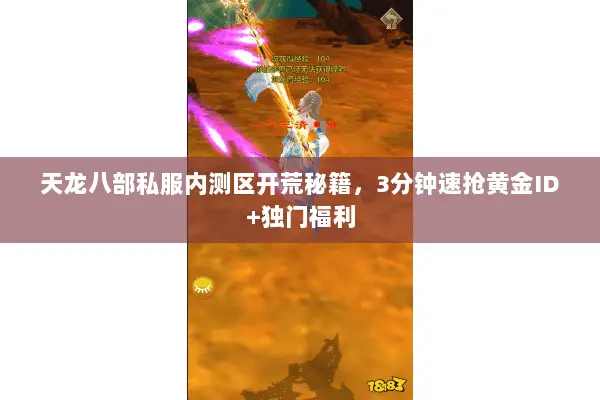 天龙八部私服内测区开荒秘籍,3分钟速抢黄金ID+独门福利 天龙八部私服内测区开荒秘籍,3分钟速抢黄金ID+独门福利