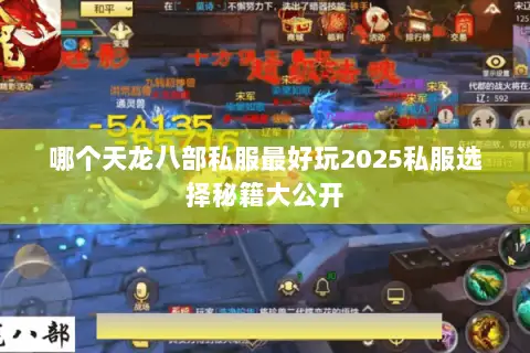 哪个天龙八部私服最好玩2025私服选择秘籍大公开