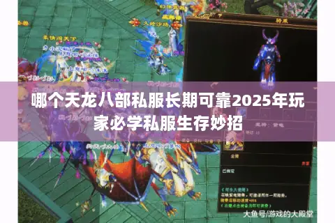 哪个天龙八部私服长期可靠2025年玩家必学私服生存妙招