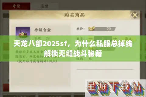 天龙八部2025sf，为什么私服总掉线解锁无缝战斗秘籍