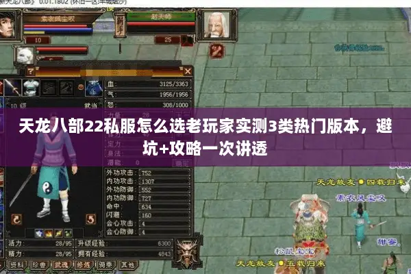 天龙八部22私服怎么选老玩家实测3类热门版本，避坑+攻略一次讲透