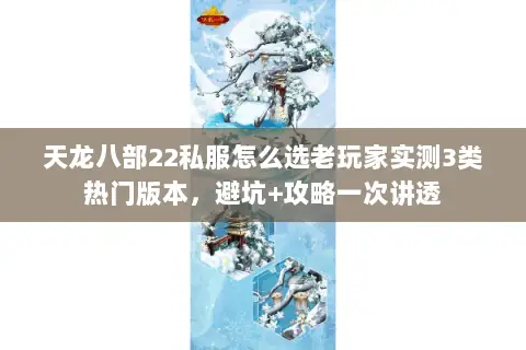 天龙八部22私服怎么选老玩家实测3类热门版本，避坑+攻略一次讲透