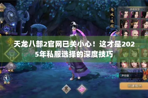 天龙八部2官网已关小心!这才是2025年私服选择的深度技巧 天龙八部2官网已关小心!这才是2025年私服选择的深度技巧