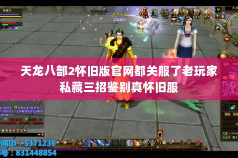 天龙八部2怀旧版官网都关服了老玩家私藏三招鉴别真怀旧服