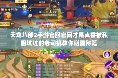 天龙八部2手游官服官网才是真香被私服坑过的老司机教你避雷秘籍