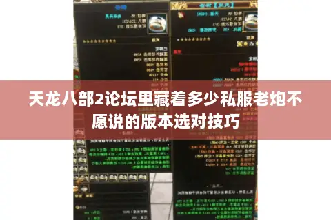 天龙八部2论坛里藏着多少私服老炮不愿说的版本选对技巧 天龙八部2论坛里藏着多少私服老炮不愿说的版本选对技巧