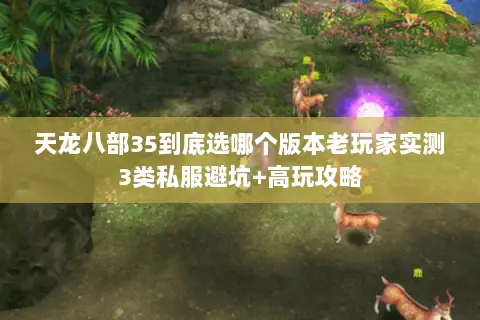 天龙八部35到底选哪个版本老玩家实测3类私服避坑+高玩攻略