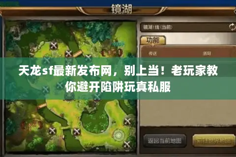 天龙sf最新发布网，别上当！老玩家教你避开陷阱玩真私服