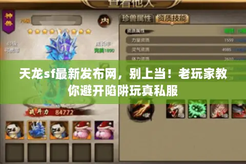 天龙sf最新发布网，别上当！老玩家教你避开陷阱玩真私服