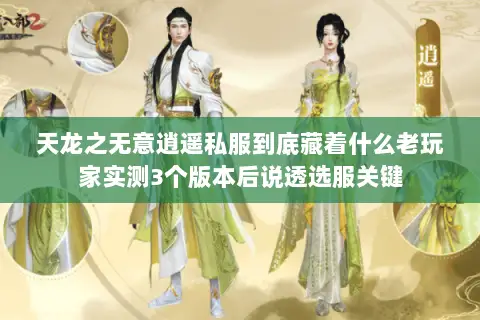 天龙之无意逍遥私服到底藏着什么老玩家实测3个版本后说透选服关键 天龙之无意逍遥私服到底藏着什么老玩家实测3个版本后说透选服关键
