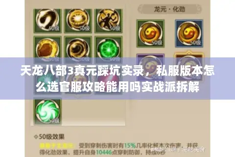 天龙八部3真元踩坑实录，私服版本怎么选官服攻略能用吗实战派拆解