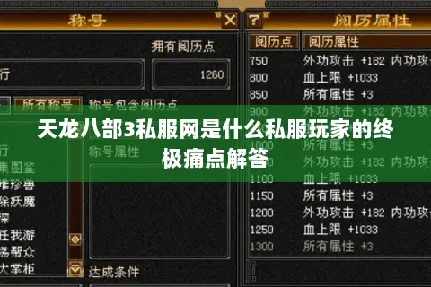 天龙八部3私服网是什么私服玩家的终极痛点解答