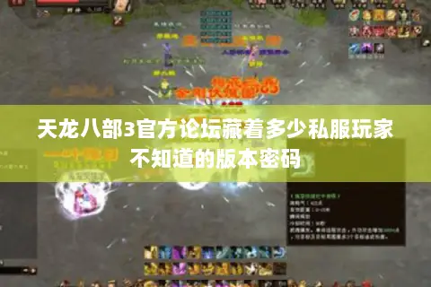 天龙八部3官方论坛藏着多少私服玩家不知道的版本密码