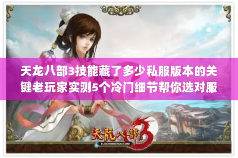 天龙八部3技能藏了多少私服版本的关键老玩家实测5个冷门细节帮你选对服 天龙八部3技能藏了多少私服版本的关键老玩家实测5个冷门细节帮你选对服