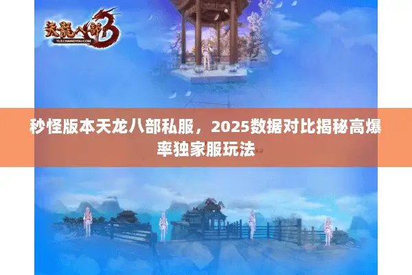 秒怪版本天龙八部私服,2025数据对比揭秘高爆率独家服玩法 秒怪版本天龙八部私服,2025数据对比揭秘高爆率独家服玩法
