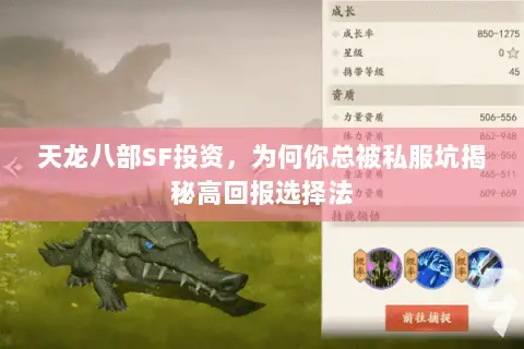 天龙八部SF投资,为何你总被私服坑揭秘高回报选择法 天龙八部SF投资,为何你总被私服坑揭秘高回报选择法