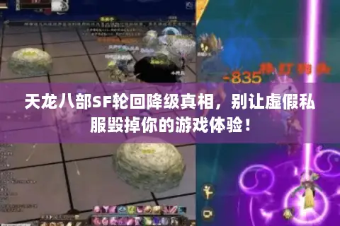天龙八部SF轮回降级真相，别让虚假私服毁掉你的游戏体验！