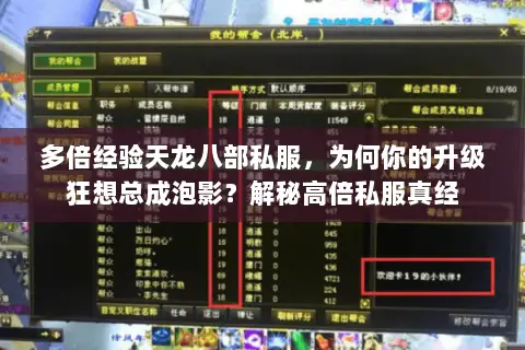 多倍经验天龙八部私服,为何你的升级狂想总成泡影?解秘高倍私服真经 多倍经验天龙八部私服,为何你的升级狂想总成泡影?解秘高倍私服真经