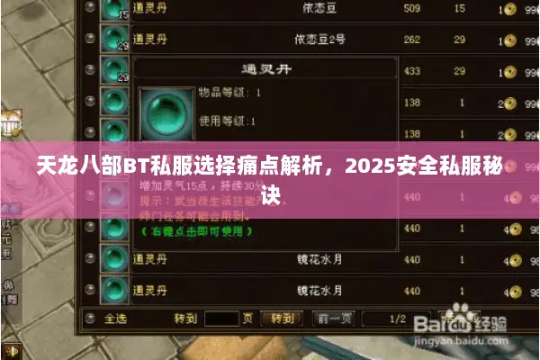 天龙八部BT私服选择痛点解析,2025安全私服秘诀 天龙八部BT私服选择痛点解析,2025安全私服秘诀