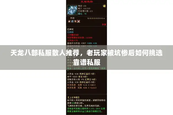 天龙八部私服散人推荐，老玩家被坑惨后如何挑选靠谱私服