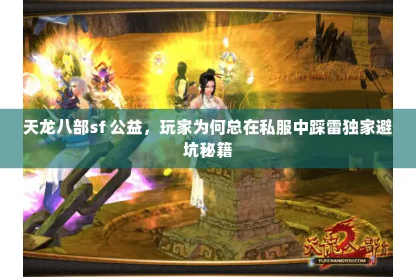 天龙八部sf 公益,玩家为何总在私服中踩雷独家避坑秘籍 天龙八部sf 公益,玩家为何总在私服中踩雷独家避坑秘籍