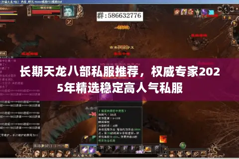 长期天龙八部私服推荐，权威专家2025年精选稳定高人气私服