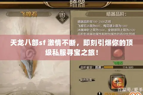 天龙八部sf 激情不断，即刻引爆你的顶级私服寻宝之旅！