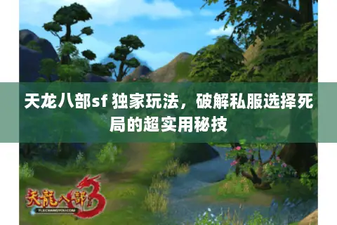 天龙八部sf 独家玩法,破解私服选择死局的超实用秘技 天龙八部sf 独家玩法,破解私服选择死局的超实用秘技