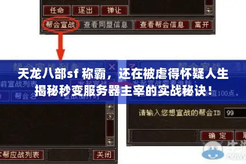 天龙八部sf 称霸,还在被虐得怀疑人生揭秘秒变服务器主宰的实战秘诀! 天龙八部sf 称霸,还在被虐得怀疑人生揭秘秒变服务器主宰的实战秘诀!