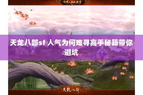 天龙八部sf 人气为何难寻高手秘籍带你避坑 天龙八部sf 人气为何难寻高手秘籍带你避坑