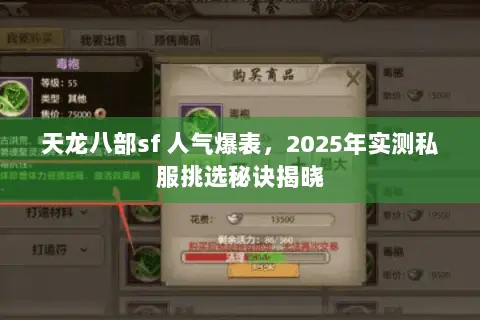 天龙八部sf 人气爆表,2025年实测私服挑选秘诀揭晓 天龙八部sf 人气爆表,2025年实测私服挑选秘诀揭晓