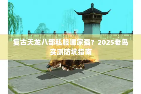 复古天龙八部私服哪家强?2025老鸟实测防坑指南 复古天龙八部私服哪家强?2025老鸟实测防坑指南