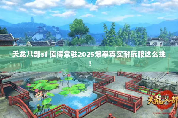 天龙八部sf 值得常驻2025爆率真实耐玩服这么挑！