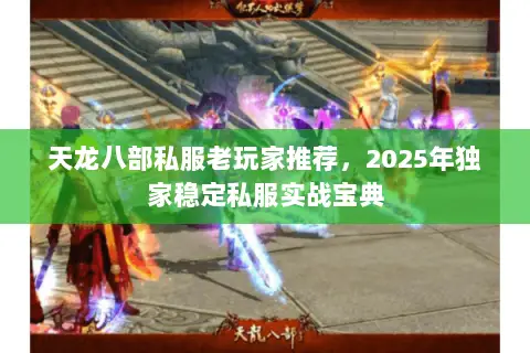 天龙八部私服老玩家推荐,2025年独家稳定私服实战宝典 天龙八部私服老玩家推荐,2025年独家稳定私服实战宝典