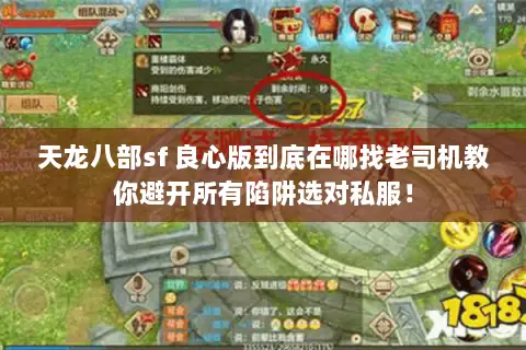 天龙八部sf 良心版到底在哪找老司机教你避开所有陷阱选对私服！