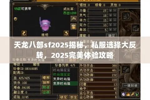 天龙八部sf2025揭秘,私服选择大反转,2025完美体验攻略 天龙八部sf2025揭秘,私服选择大反转,2025完美体验攻略
