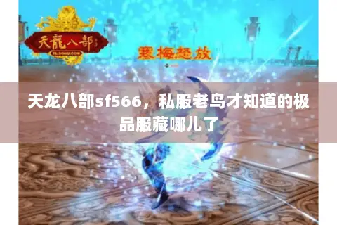 天龙八部sf566,私服老鸟才知道的极品服藏哪儿了 天龙八部sf566,私服老鸟才知道的极品服藏哪儿了