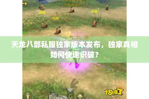 天龙八部私服独家版本发布,独家真相如何快速识破? 天龙八部私服独家版本发布,独家真相如何快速识破?