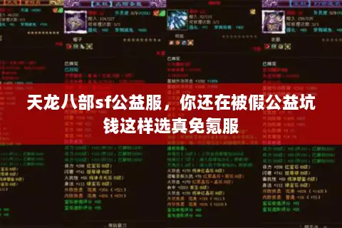 天龙八部sf公益服,你还在被假公益坑钱这样选真免氪服 天龙八部sf公益服,你还在被假公益坑钱这样选真免氪服